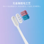 成人牙刷 B701
